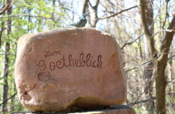 Goetheblick